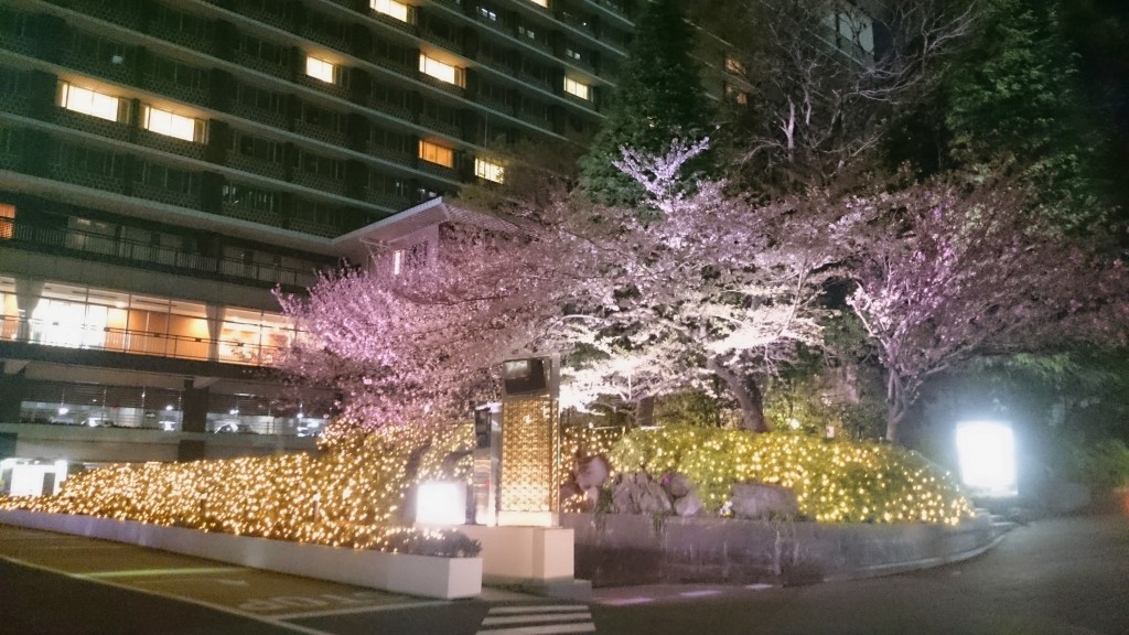 Sakura i Roppongi