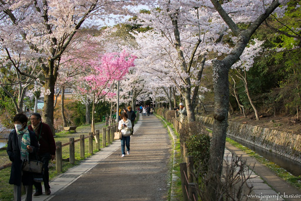 Philosopher's Path