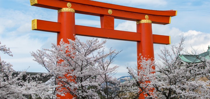 kyoto torii