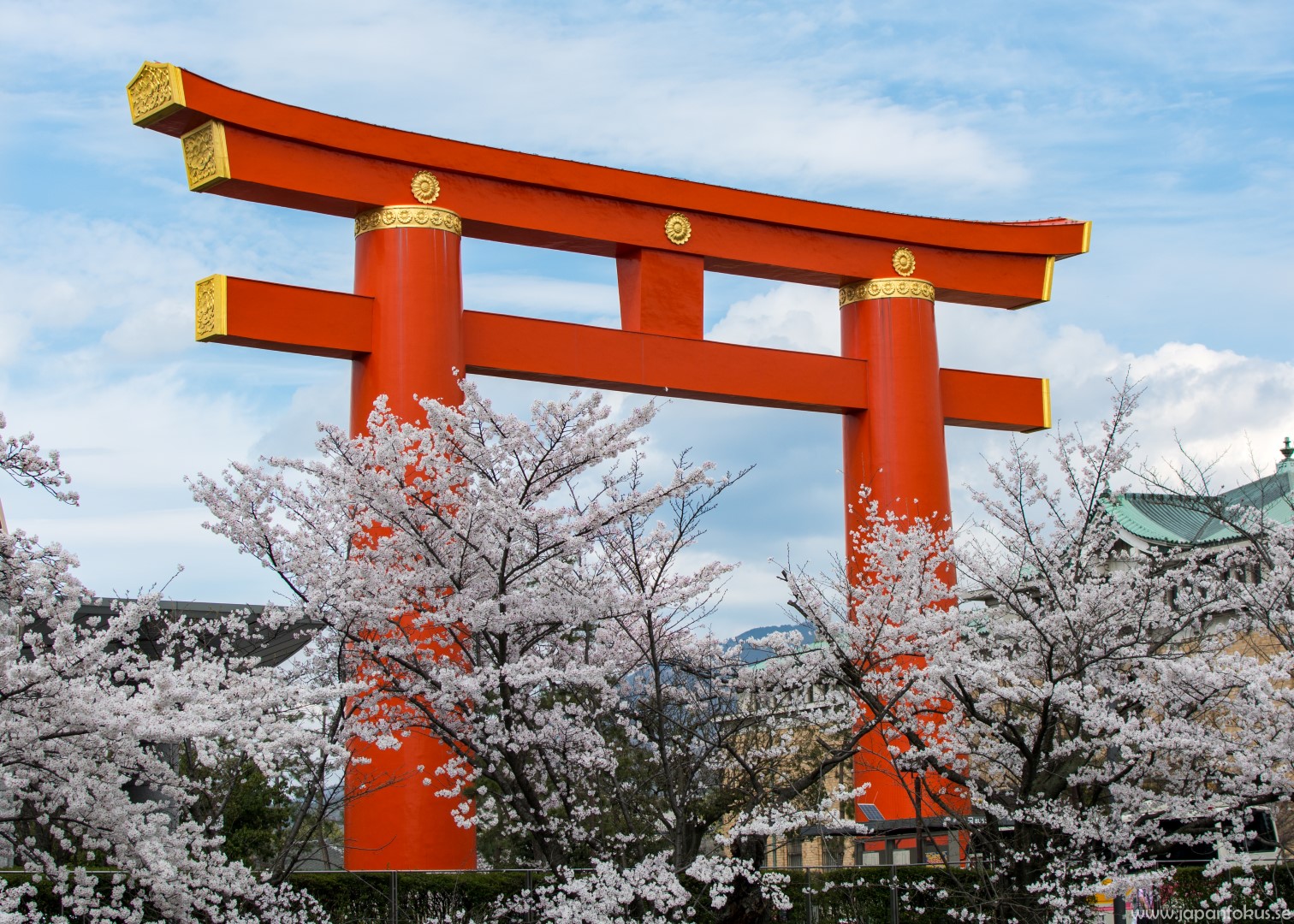 kyoto torii